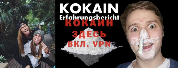 стафф Каменка