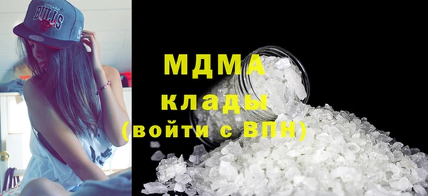 прущие грибы Каменногорск