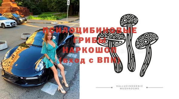 трава Абинск