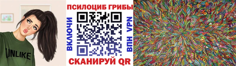 Псилоцибиновые грибы Magic Shrooms  Урюпинск 