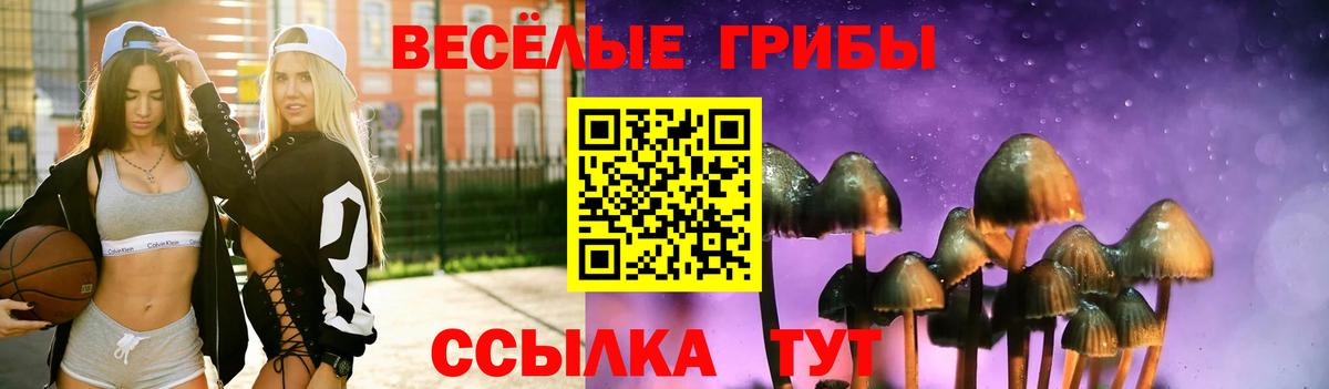 Урюпинск  Псилоцибиновые грибы прущие грибы  Вход с VPN 